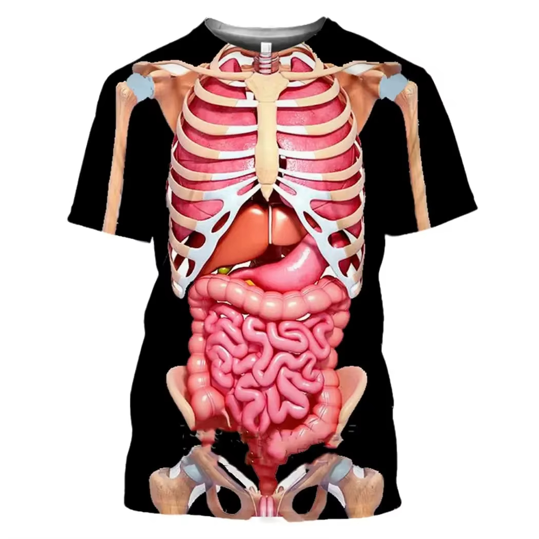 男性の骨格内臓 3D 印刷 Tシャツ男性人間の構造図夏半袖  - 3D Printing Diagram のレビューと価格