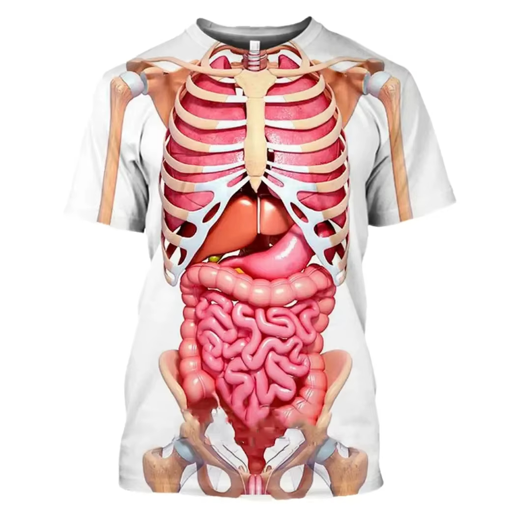 男性の骨格内臓 3D 印刷 Tシャツ男性人間の構造図夏半袖  - 3D Printing Diagram のレビューと価格