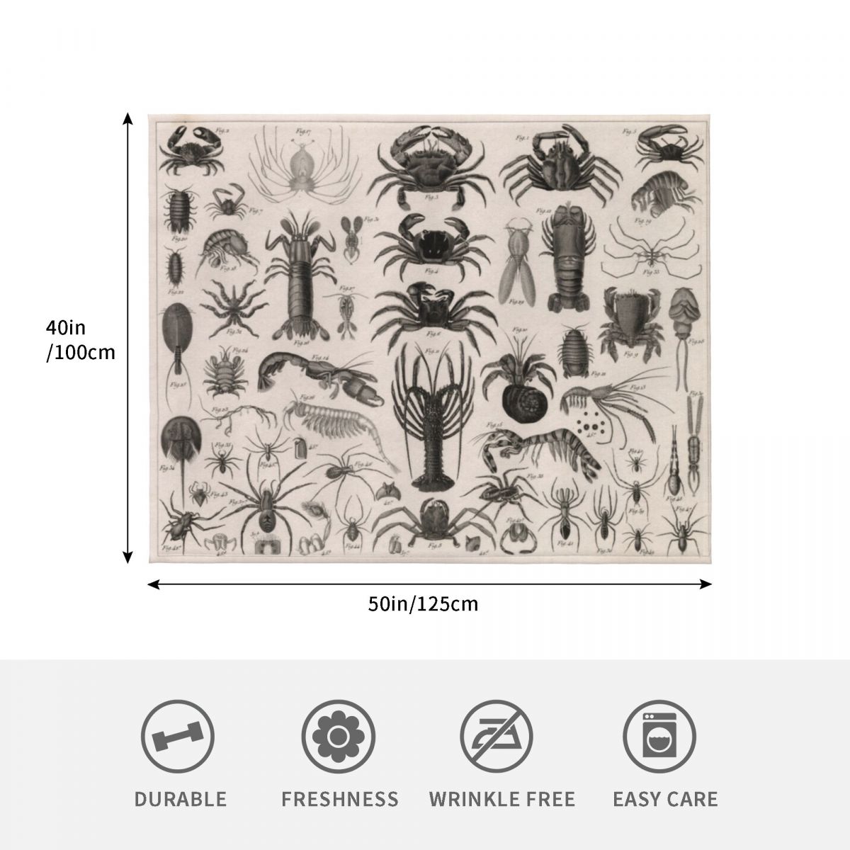 1857年図解動物学：甲殻類を含む動物。 スローブランケット - 3D Printing Diagram のレビューと価格